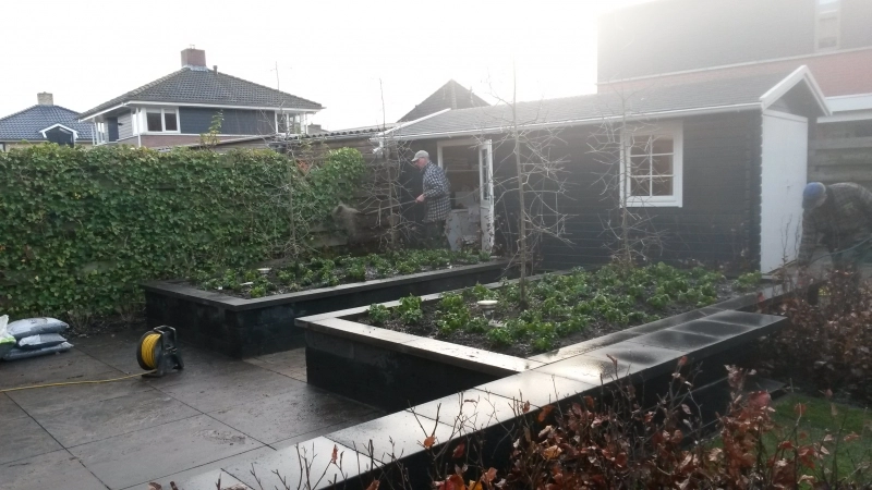Tuin met diagonaal lijnenspel