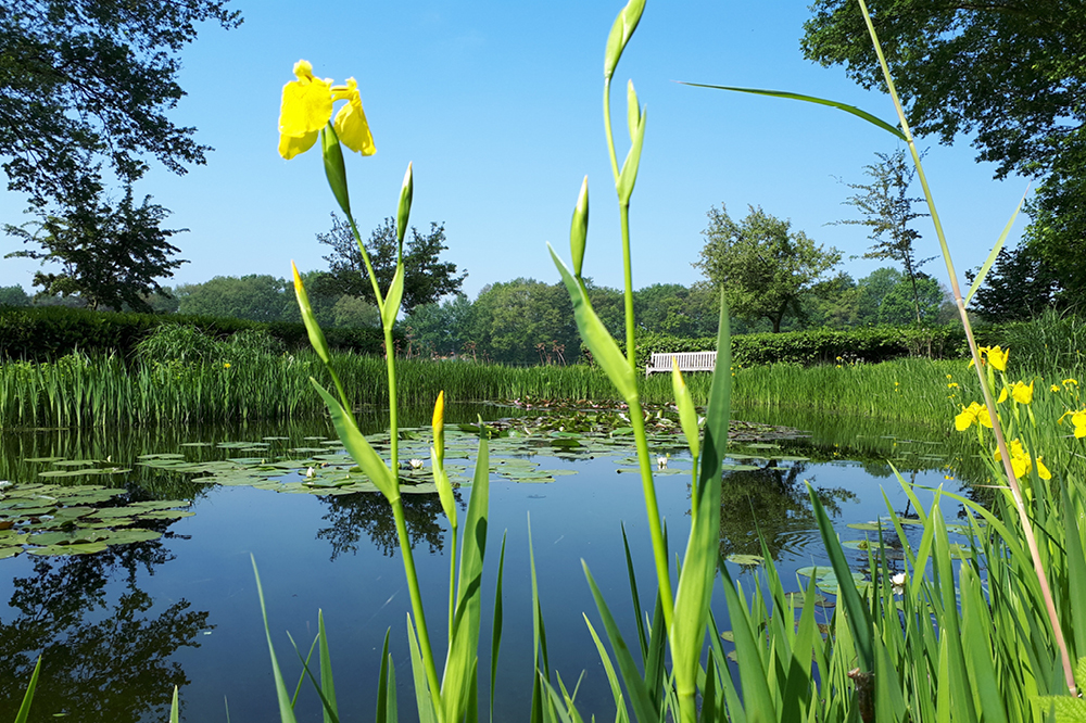 tuinonderhoud