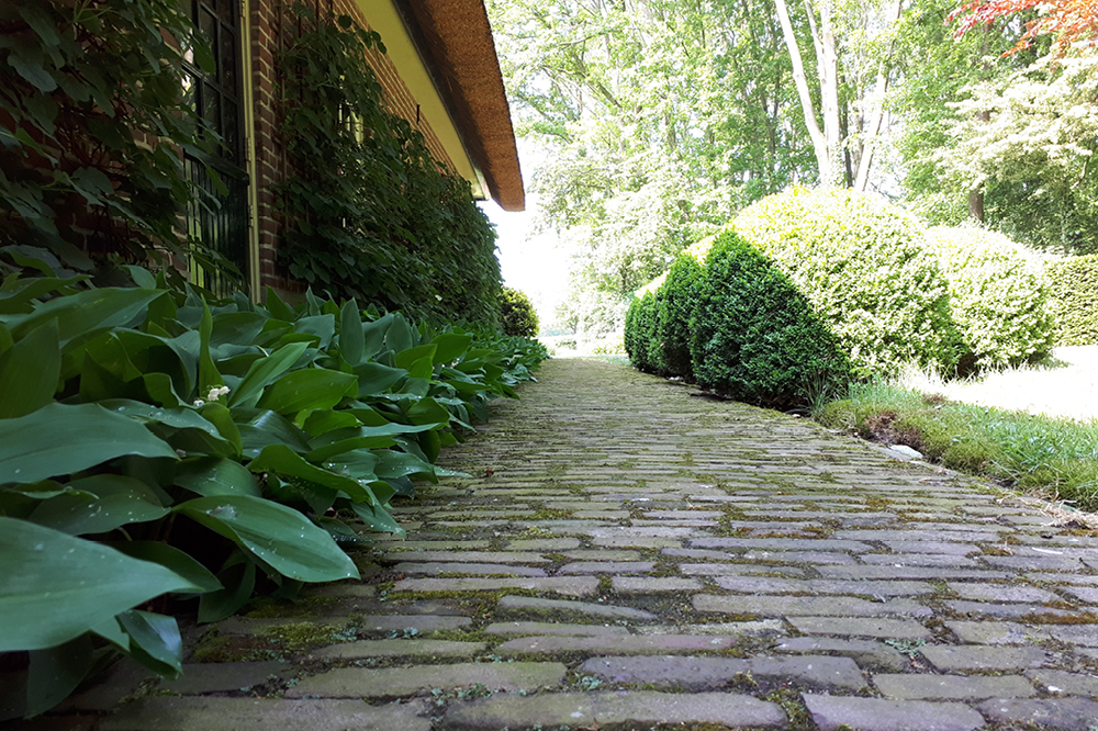 tuinonderhoud