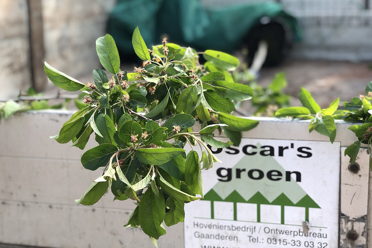 Advies over tuinen met karakter - Oscar's Groen