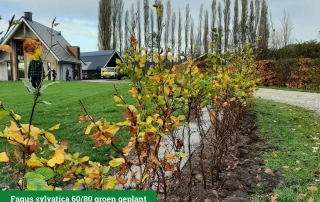 Schuurwoning Gaanderen