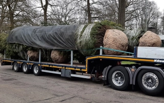 Aanvoer grote boom truck