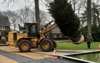 Vervoer en planten van taxus