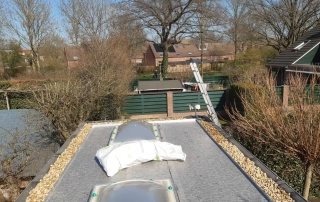 voorbereiding voor sedummix