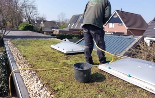 sedummixmat op dak aanleggen