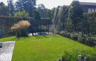 prachtige achtertuin met pyrusbomen die gesproeid wordt