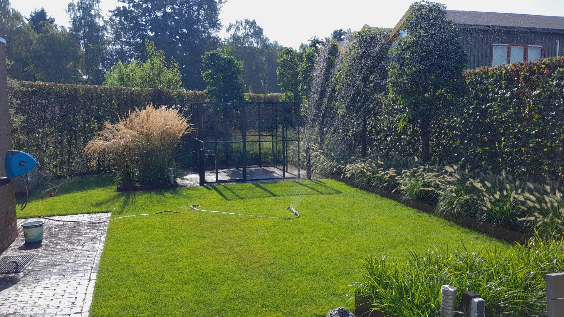 OG 1 prachtige achtertuin met pyrusbomen die gesproeid wordt