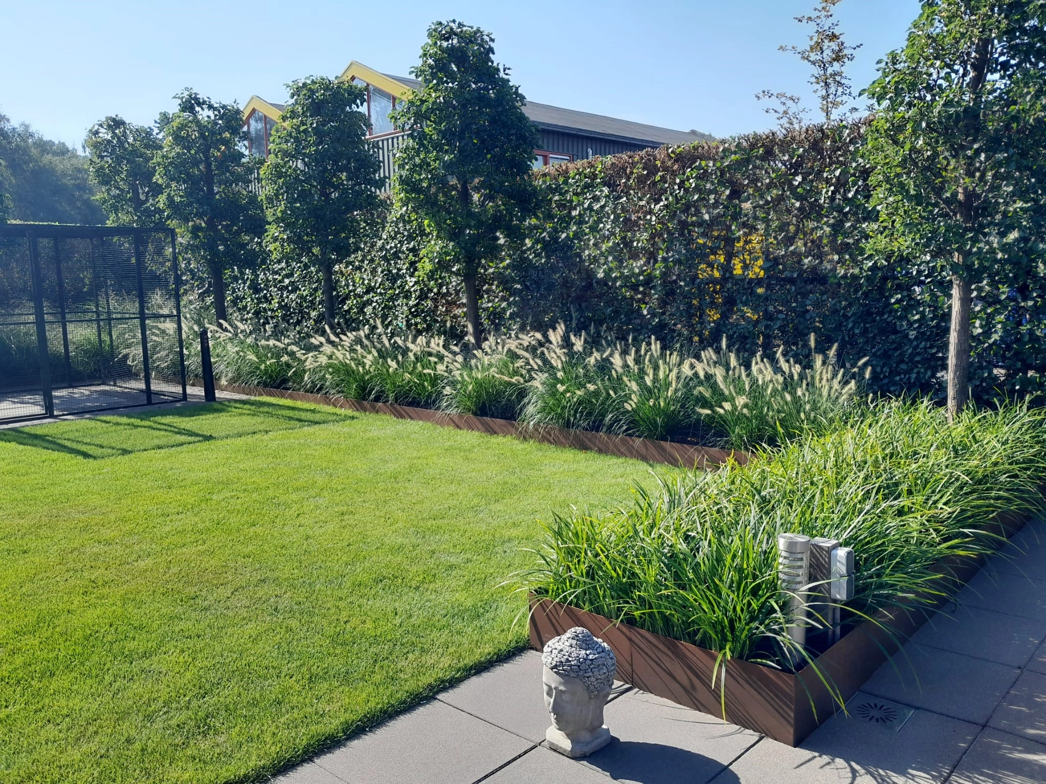 prachtige achtertuin met pyrusbomen