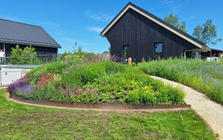 groene tuin in harreveld door oscars groen