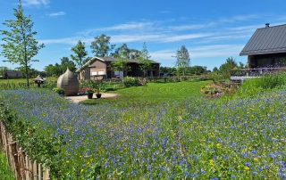 kleurrijke tuin door oscars groen in harreveld