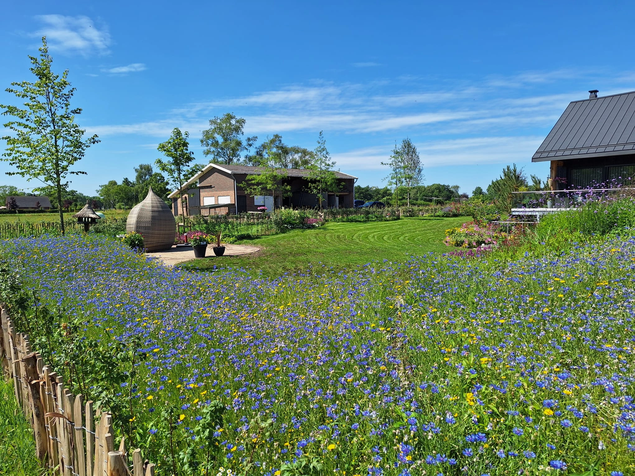 kleurrijke tuin door oscars groen in harreveld kleurrijke tuin door oscars groen in harreveld